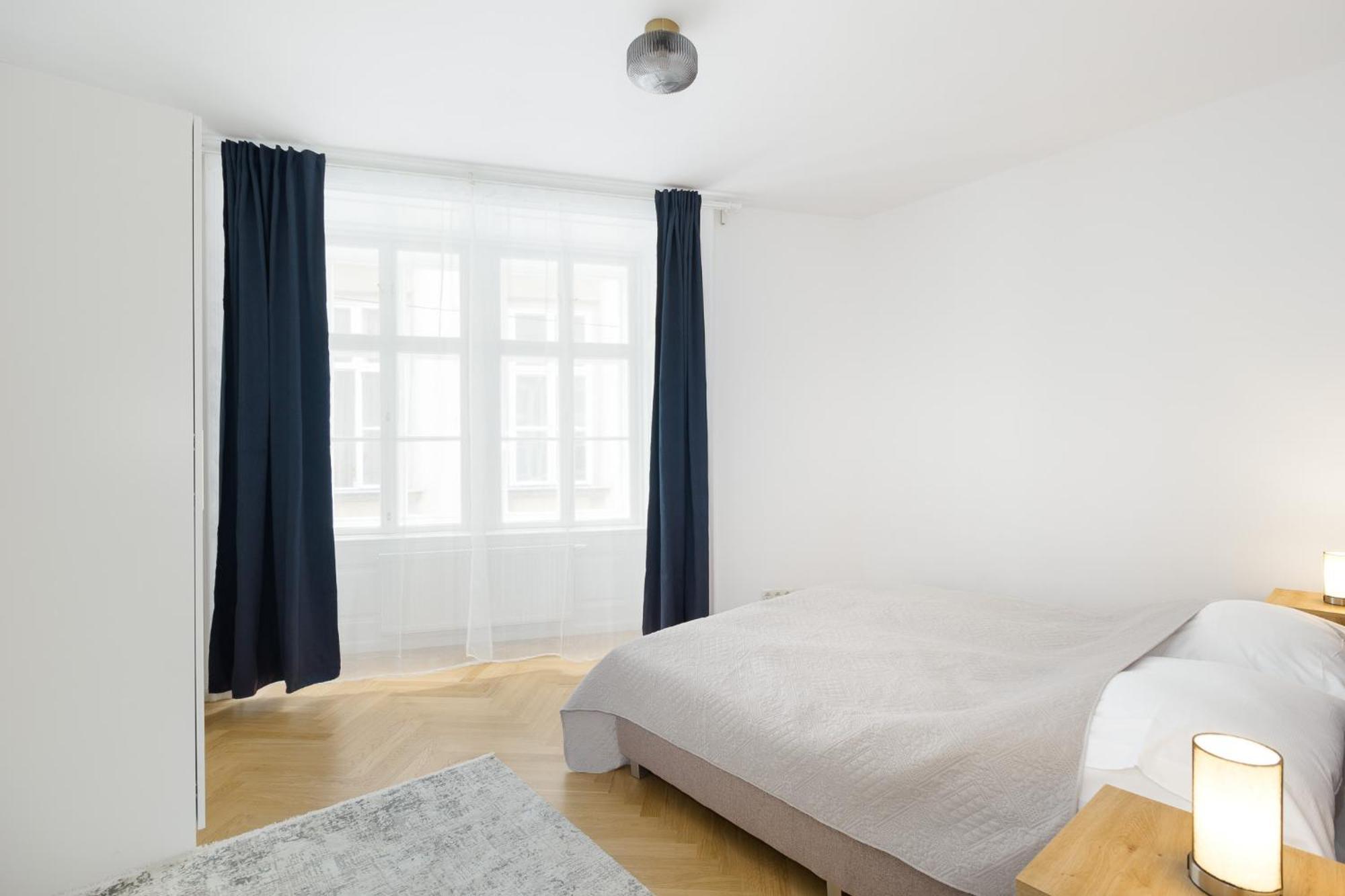 Apartment Ballgasse Luxury فيينا المظهر الخارجي الصورة